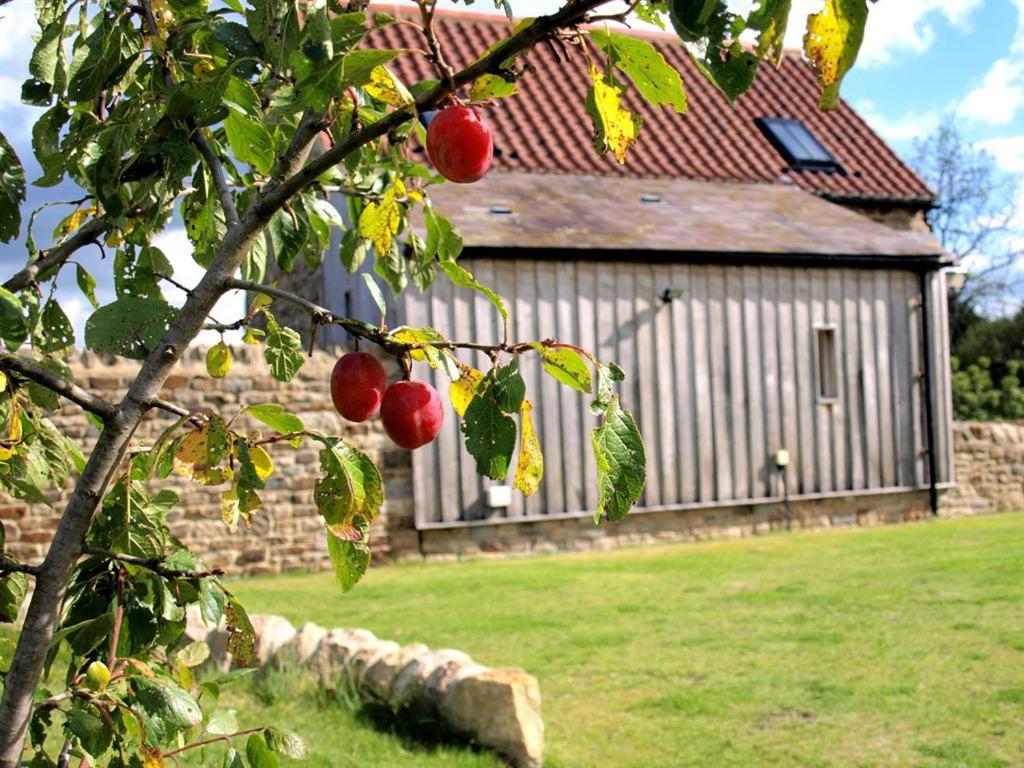 Plum Tree Cottage Witton le Wear 외부 사진